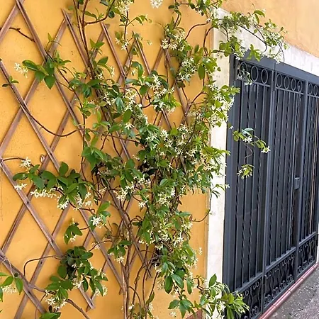 B&B Mela Roggiano Gravina