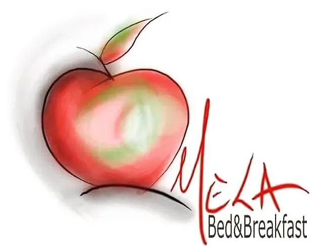 住宿加早餐酒店 Mela 3*